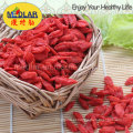 Medlar Dired Goji Berry De Ningxia Nêspera